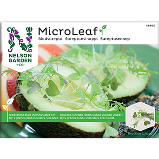 Lähikuva avokadopuolikkaista, joiden päällä on eloisia MicroLeaf-sinappiversoja valkoisella lautasella, vieressä suorakulmainen siemenpussi, jossa lukee Nelson Gardens MicroLeaf Mustard Greens lihavoidulla pääteviivattomalla tekstillä. Siemenpussissa on kuvia versoista. Pakkauksen pinta on mattainen. Tausta on vaalea ja neutraali. Ihmisiä tai käsiä ei näy kuvassa.
