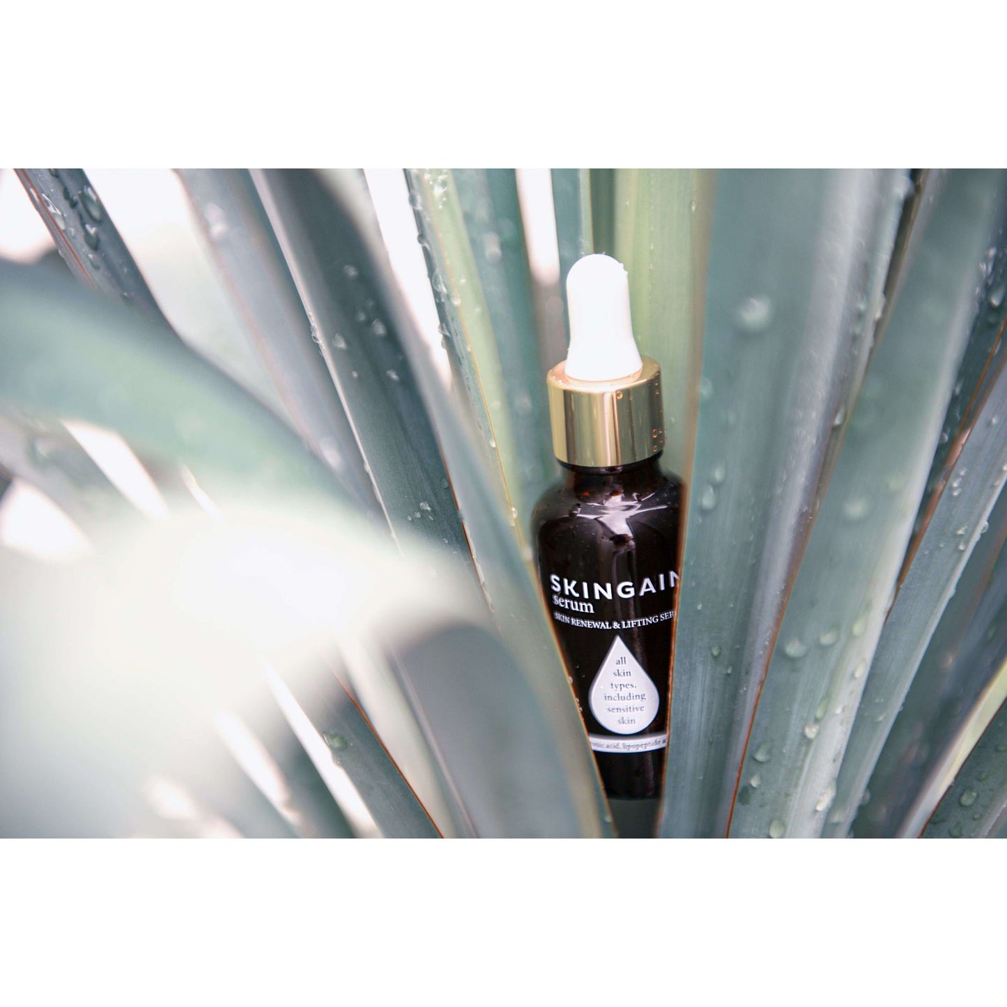 SKINGAIN serum-SKINGAIN-Hyvinvoinnin Tavaratalo