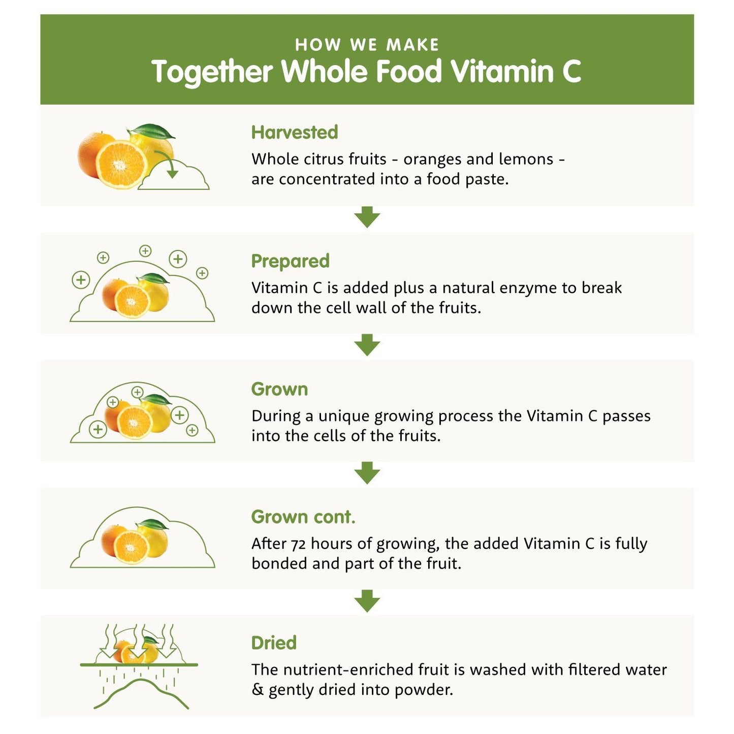 Infographic showing steps to make whole food vitamin C: harvesting citrus fruits, adding vitamin C, combining with natural enzymes, supporting absorption, and drying the fruit before final processing. Graphic uses flat illustrations in orange and green color scheme. Sans-serif headings label each step. White background with no people or additional props visible. Rectangular layout.