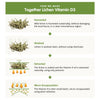 Infographic showing the steps to make Together Lichen Vitamin D3: sustainably harvested, gently washed, carefully extracted, and expertly micro-encapsulated, with simple illustrations for each stage and brief descriptions beside each step. Rectangular layout on a white background. No people or hands visible. Typography is sans-serif, clear and evenly spaced. No product packaging shown.