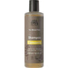 Urtekram Kamomilla Shampoo; pullo tekstillä "Urtekram Nordic Beauty Chamomile Shampoo" vaaleille hiuksille, 250 ml, lieriömäinen muoviastia mattaharmaalla ja keltaisella etiketillä; etiketissä tuotetietoja, mukaan lukien luomu, vegaanisertifiointi ja 100-prosenttisen luonnollinen alkuperä modernilla groteskitypografialla; tausta yksinkertainen, ei ihmisiä tai käsiä näkyvissä.