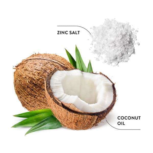 Ecodenta Anti-Plaque Hammaskiveä Ehkäisevä Hammastahna; halkaistu kookospähkinä vihrein lehdin, etiketöity Coconut Oil, kasan valkoisia kiteitä vieressä etiketöitynä Zinc Salt, ympäröitynä hienovaraisin luonnollisuuden vihjein valkoisella taustalla; valkoiset mattakiteet muodostavat pienen kasan ruskeankuorisen kookospähkinän vieressä; molemmilla yksinkertaiset painetut etiketit selkeällä groteskifontilla; asetelma minimalistinen ilman ihmisiä, kuvattu ylhäältä.