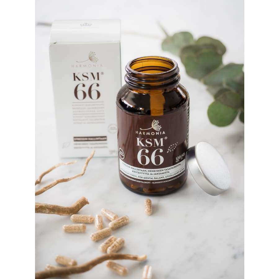 Harmonia KSM-66 -ashwagandhakapselipullo laatikkonsa edessä marmoripinnalla; pullo sylinterimäinen ja tummasävyinen, valkoisessa etiketissä lihavoitua mustaa tekstausvapaata typografiaa; laatikko vastaa etiketin väritystä ja muotoilua; edessä useita vaaleanruskeita kasvipohjaisia kapseleita ja kuivattuja ashwagandha-juuria sekä hopeinen kansi ja eukalyptuksen oksa; ei ihmisiä tai käsiä näkyvissä.