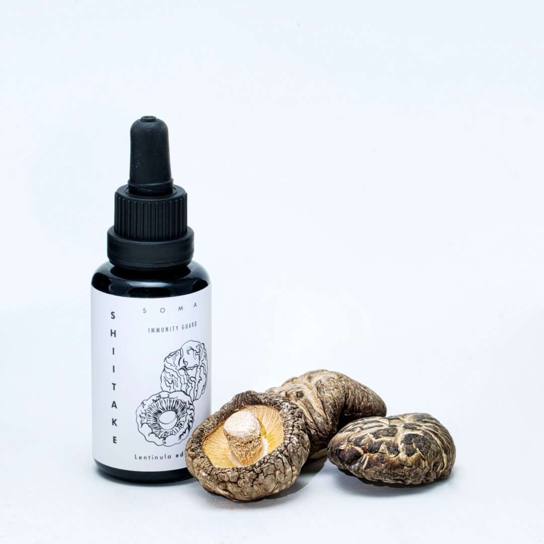 KÄÄPÄ Mushrooms Luomu Shiitake sieniuute; tiputinpullo tekstillä "Shiitake" pystyssä kolmen kuivatun siitakesienen ja reishi-uutteen vieressä valkoisella taustalla; tumma lasinen tiputinpullo mattamustalla korkilla; etiketissä selkeää, modernia groteskitekstiä pääsanana "Shiitake"; kuivatut sienet vaaleanruskeita tekstuurisin pinnoin; kuva edestä ja tasaisesti valaistu, ei ihmisiä tai rekvisiittaa näkyvissä.