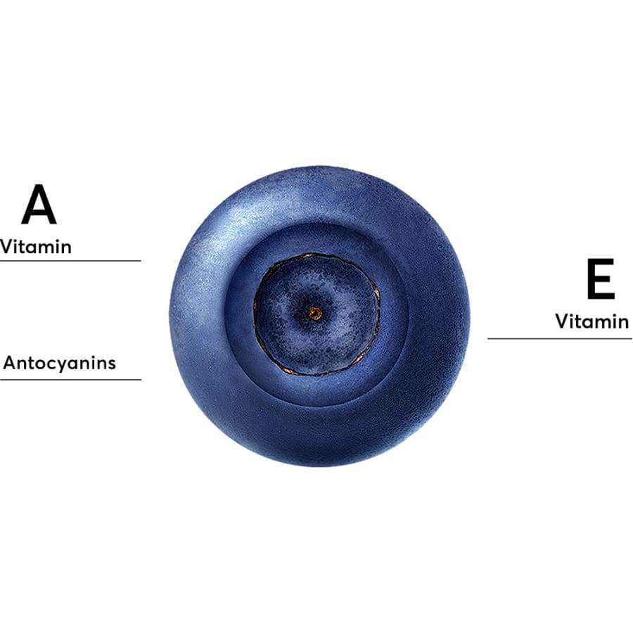 Lähikuva mustikasta merkintöineen A-vitamiinista, E-vitamiinista ja antosyaaneista; pyöreä tummansininen mattapintainen marja, groteskiteksti mustana valkoisella tai värillisellä pohjalla
