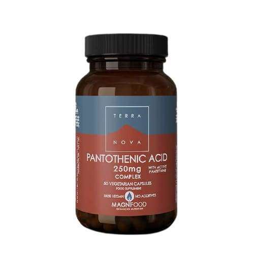Terranova Pantothenic Acid 250 mg Complex, 50 kasviskapselia; muovipullo, mattapintainen vihreä-punainen etiketti, valkoista groteskitekstiä; etiketissä mainitaan tuotteen olevan 100 % vegaaninen, lisäaineeton sekä sisältävän Magnifood-kompleksin; ei ihmisiä; tuote kuvattu vaalealla taustalla tavanomaisessa tuotekuvassa.